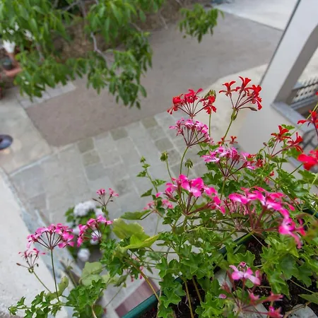 Guest house Nonna Stara Polje (Krk)