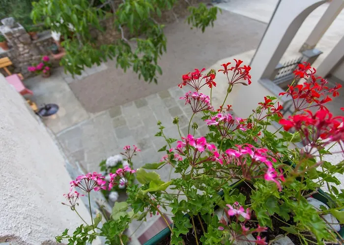 Gæstehus Nonna Stara Polje (Krk)